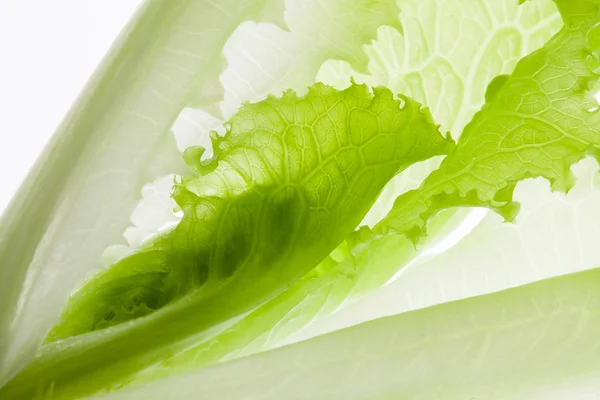 Green vegetable background — Stock Photo, Image