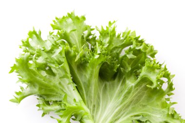 marul. salata arka plan