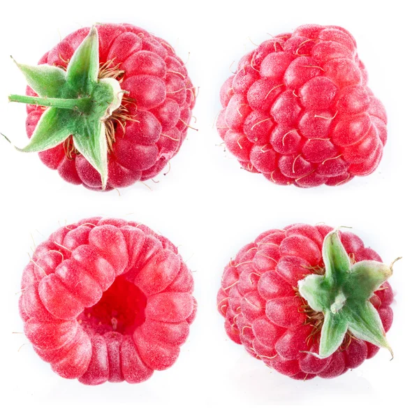 Raspberry isolated on white — Stock Photo, Image