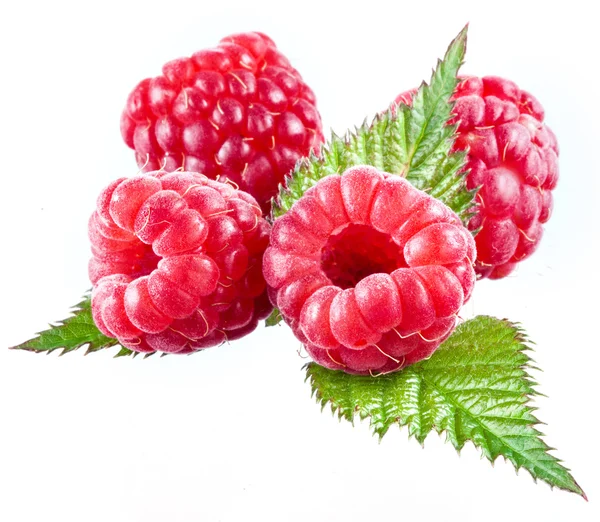 Framboises isolées sur fond blanc — Photo