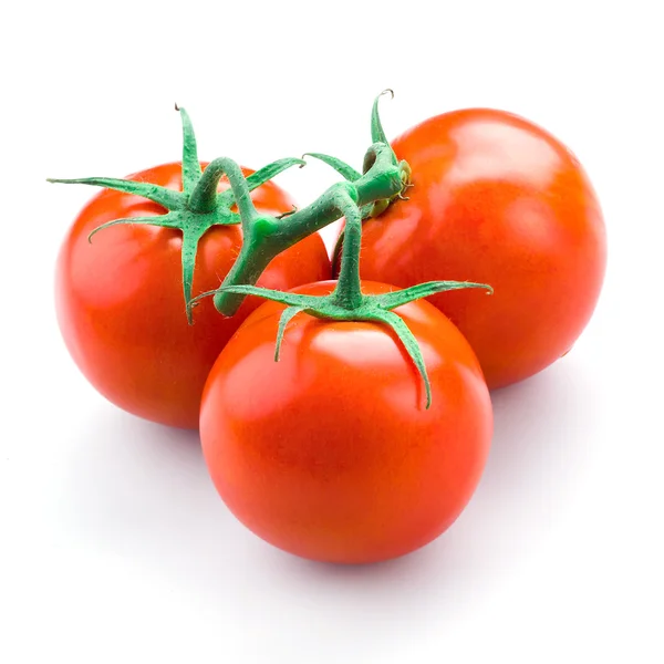Oddział pomidor — Zdjęcie stockowe