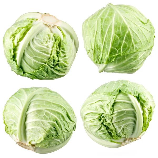 Cabbage collection — Stock Photo, Image