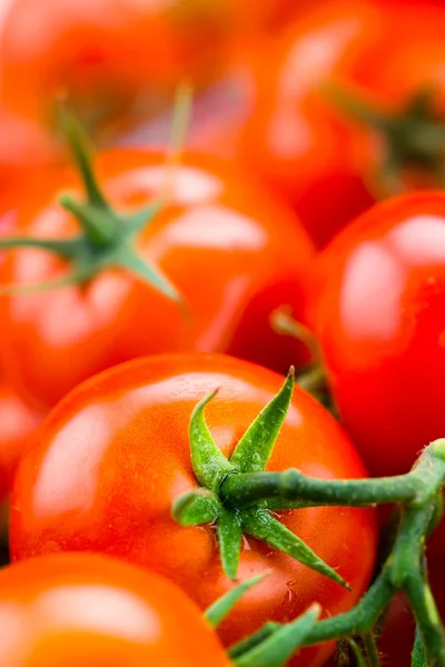 Fresh tomatoes background. Macro Stock Image