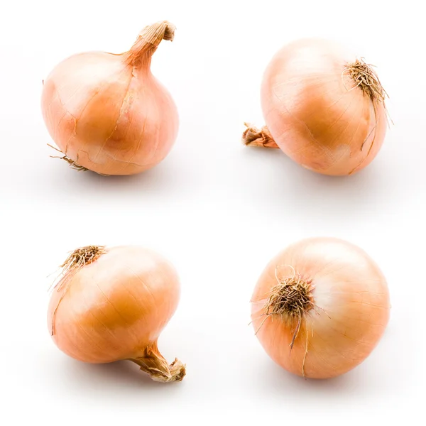 Ripe onion isolated on a white background — Stock Photo, Image