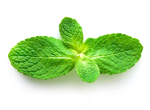 Fresh mint isolated on a white background — Stock Photo, Image