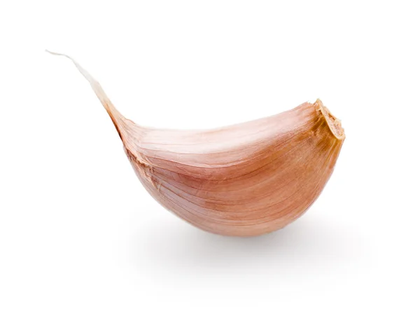 Garlic clove isolated on white background — Stock Photo, Image