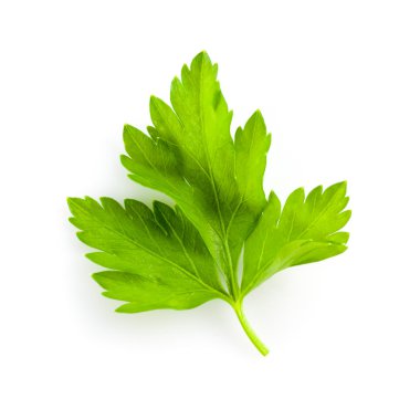 Maydanoz beyazda izole