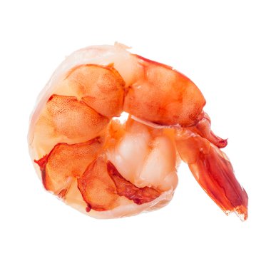 Karides beyazda izole edilmiş.