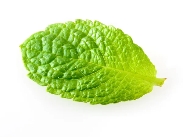 Fresh mint leaf isolated on white background. Studio macro — Stock Photo, Image