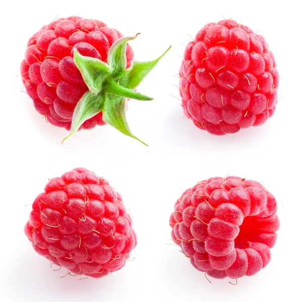 Framboise. Fruit isolé sur blanc. Ensemble — Photo