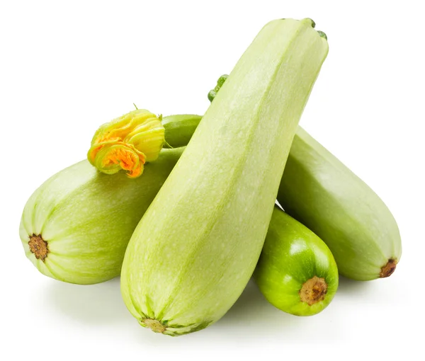 Fresh zucchini with flower isolated on white background — Stock Photo, Image