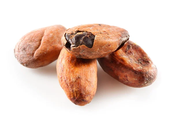Kakaové boby izolovaných na bílém backrgound — Stock fotografie