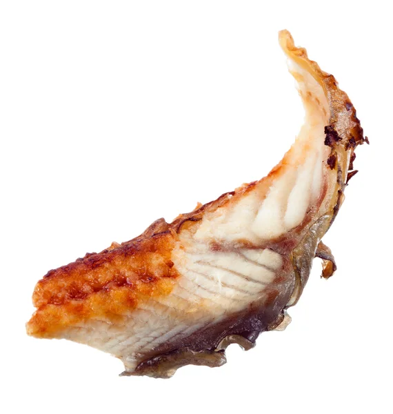 Угорь. Кусок рыбы, изолированный на белом — стоковое фото