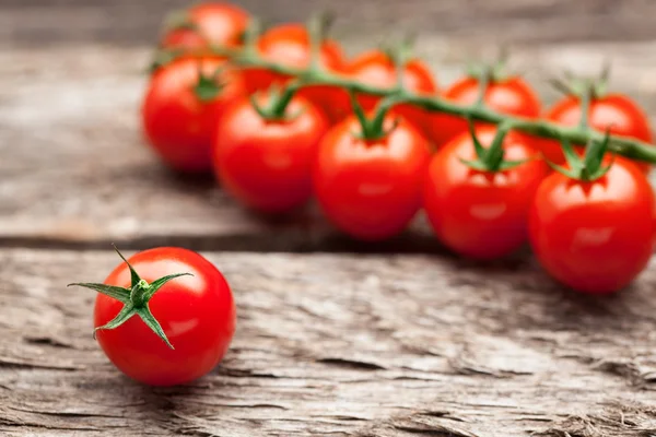 Organische cherry tomaat — Stockfoto
