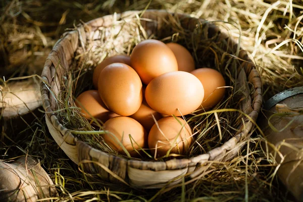 Huevos marrones ecológicos en paja — Foto de Stock