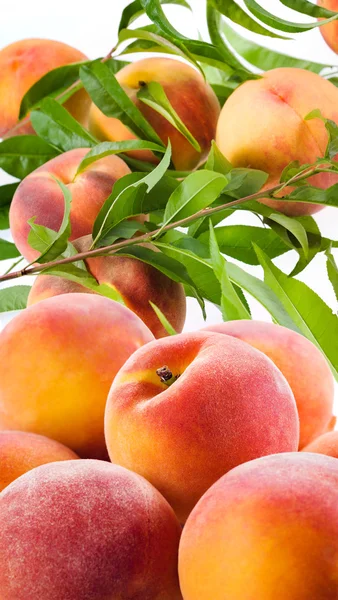 Fresh organic peaches with leaves — Stock Photo, Image