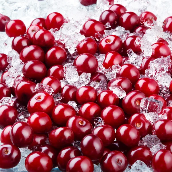 Cereza con hielo — Foto de Stock