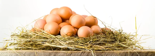 Ovos de Páscoa em ninho em tábuas de madeira rústicas. Fundo branco — Fotografia de Stock