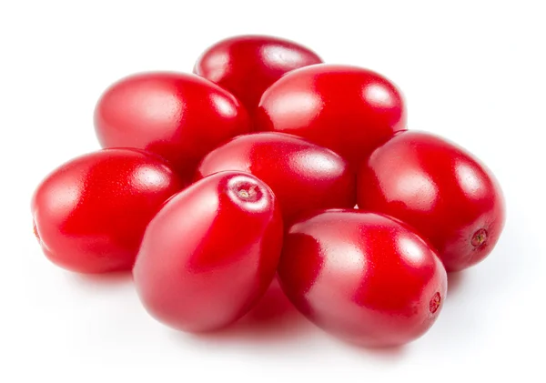 Cornels con hojas aisladas en blanco. Con camino de recorte — Foto de Stock