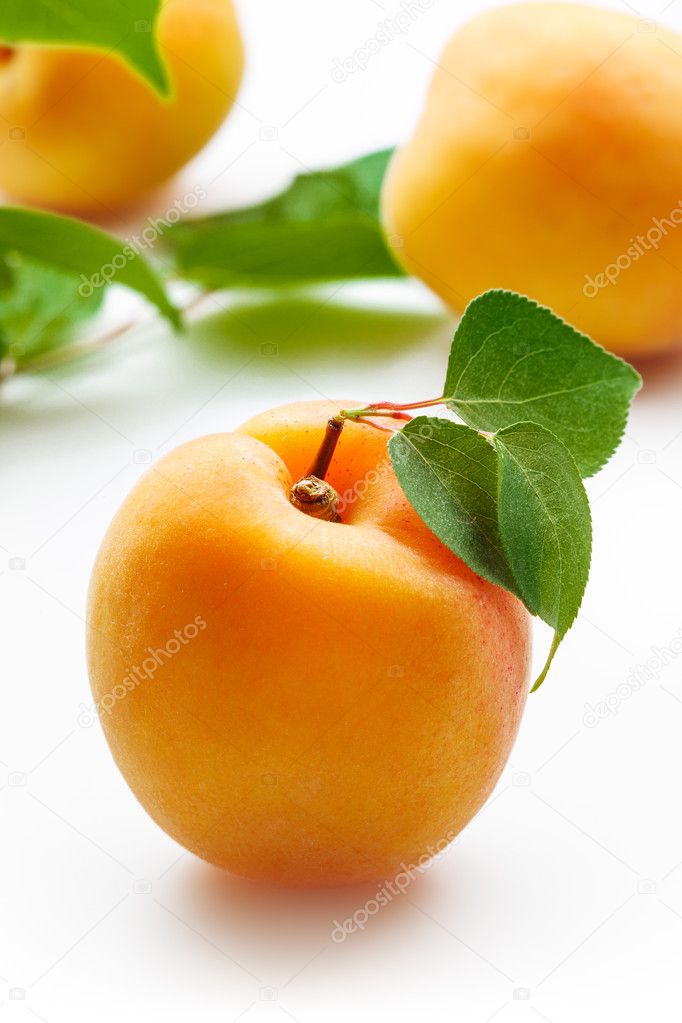 Apricots with leaves on white