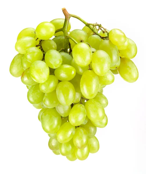 Zöld szőlő elszigetelt — Stock Fotó
