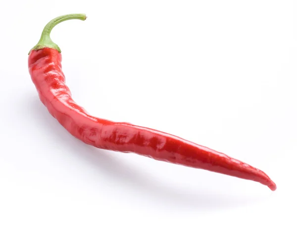 Chili peppers isolated — Stock Photo, Image