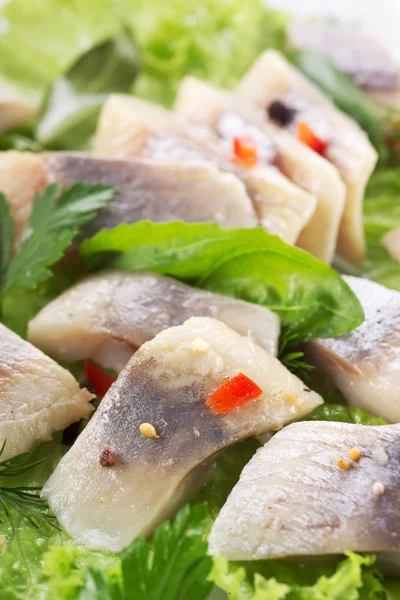 Trozos de pescado de arenque salado con hierbas y especias —  Fotos de Stock