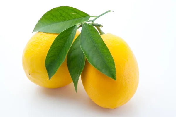 Limones aislados en blanco — Foto de Stock