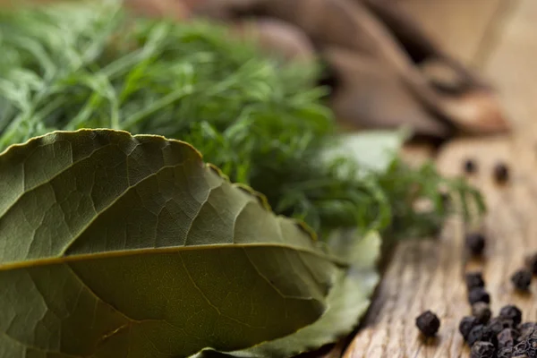 Bay leave with soft focus on background — Stock Photo, Image