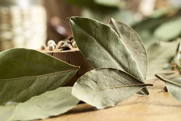 소프트 포커스와 베이 잎 — 스톡 사진