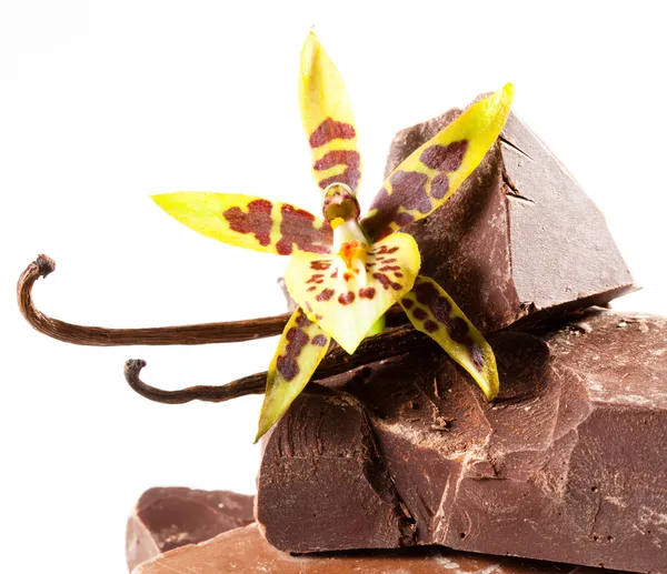 Choklad bitar med vanilj blomma — Stockfoto