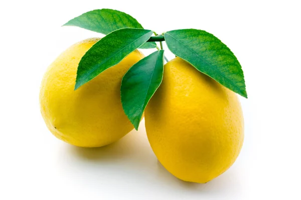 Лимоны с листьями изолированы на белом — стоковое фото
