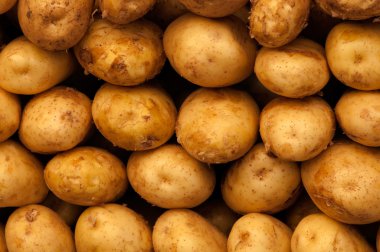 Patates.