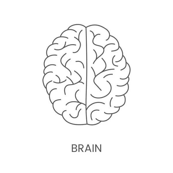 Brain Icon Linear Vector Illustration — Διανυσματικό Αρχείο