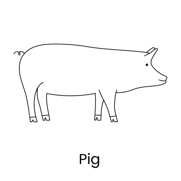 Pig Vector Icon Farm Animal Linear Illustration — Stock Vector