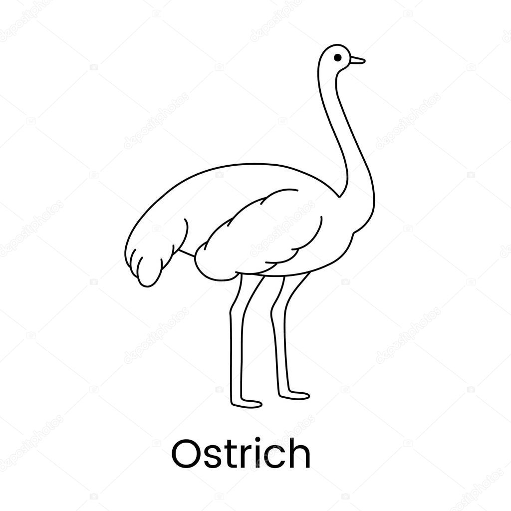 Ostrich line icon in vector, illustration of a farm bird