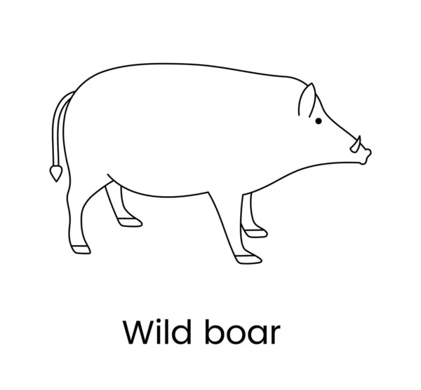 Wild Boar Icon Vector Linear Illustration Animal — Stock Vector