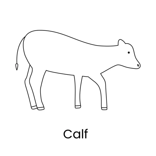 Calf Icon Vector Linear Illustration — Archivo Imágenes Vectoriales