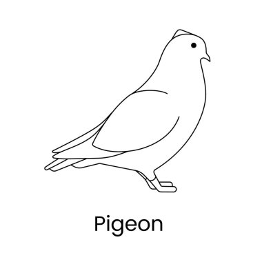 Pigeon line icon, vector illustration of a bird