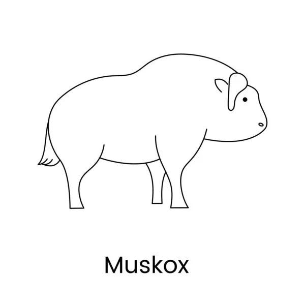 Musk Line Icon Vector Illustration Animal — Stockvektor