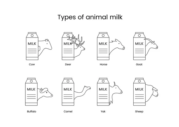 Типы Животных Векторная Линейная Икона Молока Иллюстрация Животных — стоковый вектор