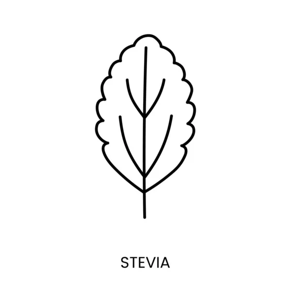 Lineares Stevia Symbol Vektor Illustration Der Pflanze Aus Der Zucker — Stockvektor
