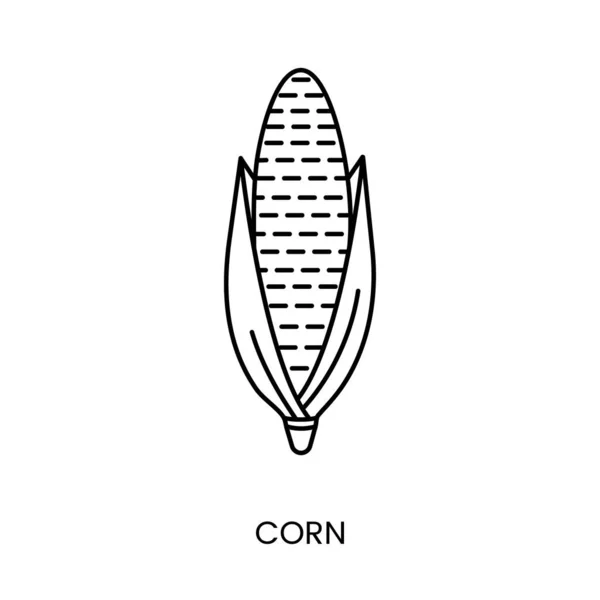 Maislinien Symbol Vektor Illustration Des Produkts Aus Dem Zucker Hergestellt — Stockvektor