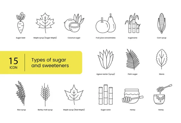 Tipos Azúcar Edulcorantes Establecen Iconos Línea Vector Incluye Arce Remolacha — Vector de stock