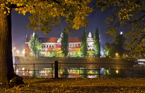 Το Εθνικό Μουσείο στο wroclaw, Πολωνία — Φωτογραφία Αρχείου