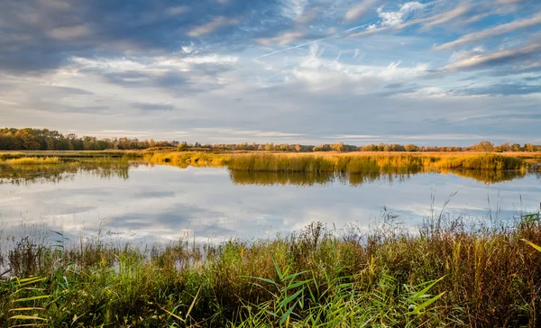 Ponds Reserve Milickie — Stock Photo, Image