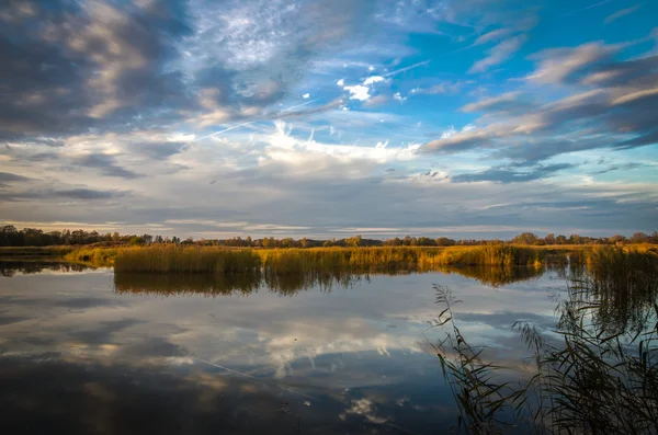 Ponds Reserve Milickie — Stock Photo, Image