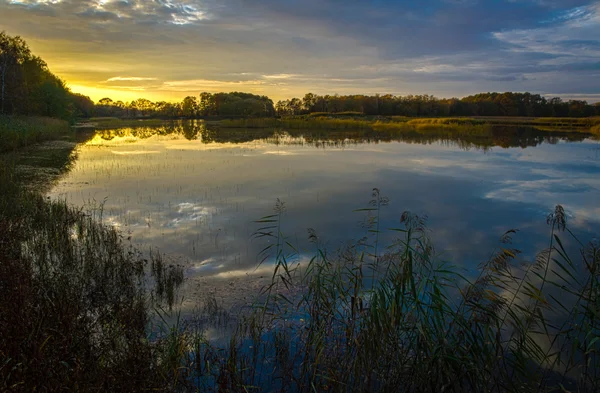 Teichreservat Milickie — Stockfoto