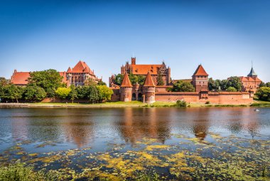Germen kalede: malbork, Polonya