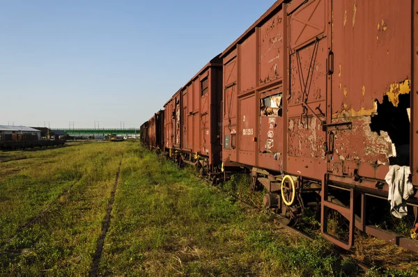 Alte Waggons — Stockfoto